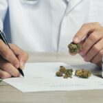 Co mówią badania o skuteczności marihuany w leczeniu?