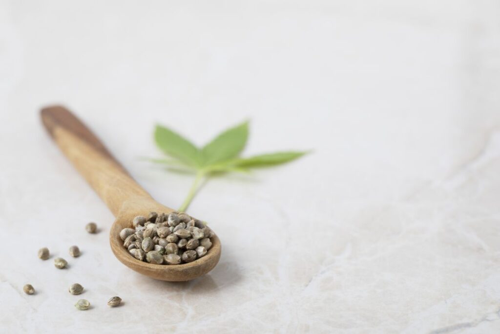 Wpływ europejskich regulacji na polski rynek nasion i produktów konopnych