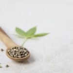 Wpływ europejskich regulacji na polski rynek nasion i produktów konopnych