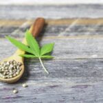 Odmiany legendarne – które przetrwały dekady?