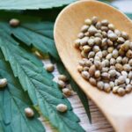 Na co zwrócić uwagę kupując nasiona online?